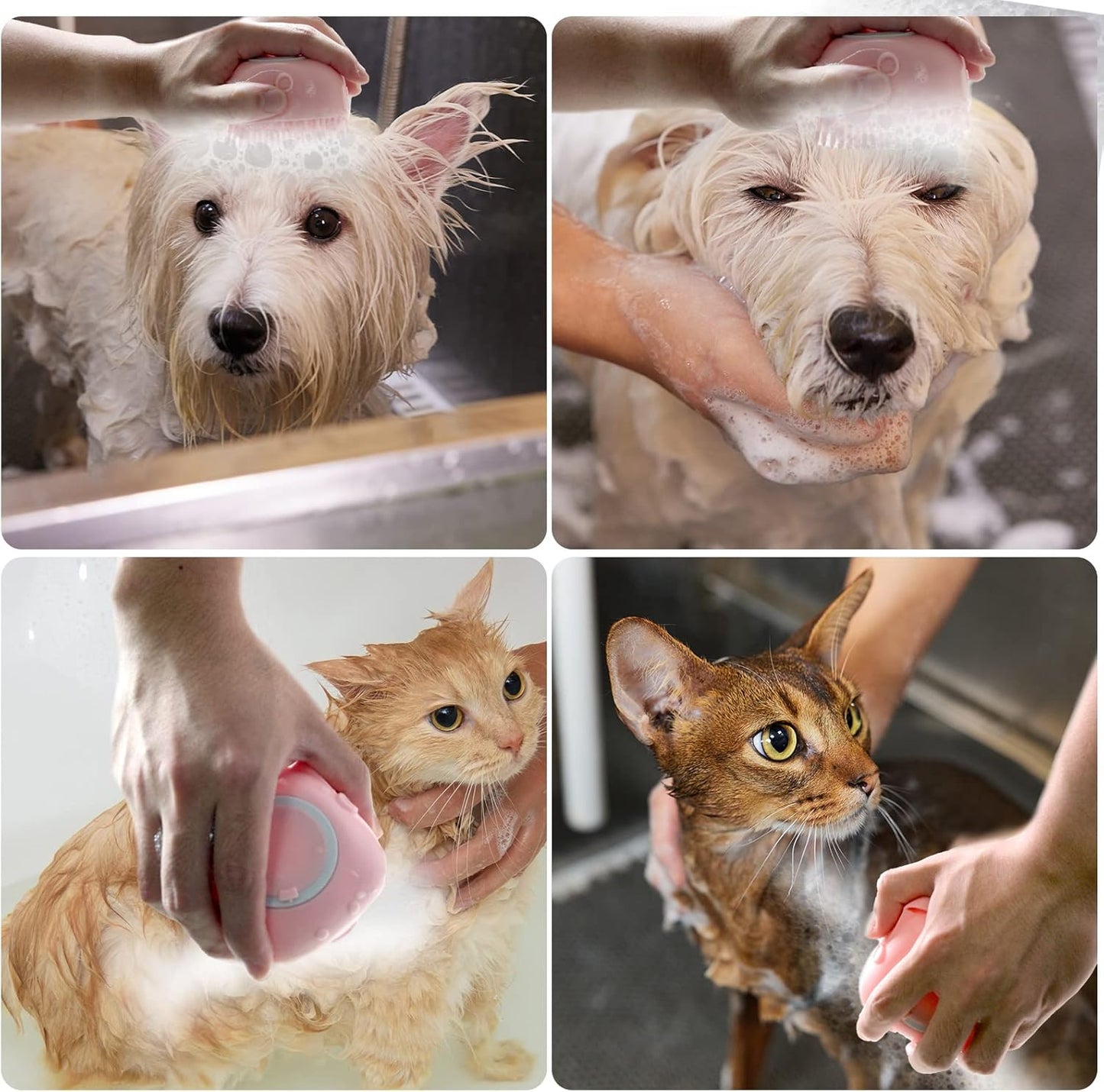 Pet Bath Brush Dog Baths Brush Shampoo Dispenser Soft Silicone Dog Bathing Brushes Dogs Shampoo Brushes Scrubbers for Cats and Dogs Shower Brush Grooming (Pink)