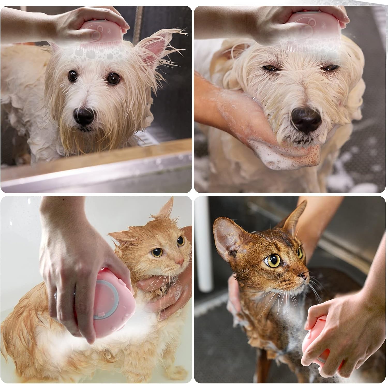 Pet Bath Brush Dog Baths Brush Shampoo Dispenser Soft Silicone Dog Bathing Brushes Dogs Shampoo Brushes Scrubbers for Cats and Dogs Shower Brush Grooming (Pink)