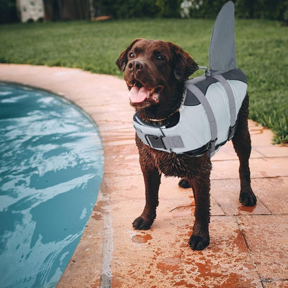 Shark Life Jackets for Dogs, Adjustable Ripstop Dog Life Vest for Water Safety Pet Lifes Vest with Rescue Handle Safety Vests for Swimming Pool Beach Boating, (L,Grey)